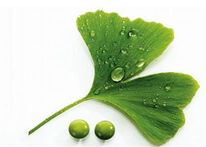 天然健康 驅動植物提取物行業發展的核心動力