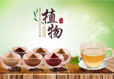 浙江茗皇 引領(lǐng)速溶茶與植物提取物產(chǎn)業(yè)的專業(yè)化發(fā)展